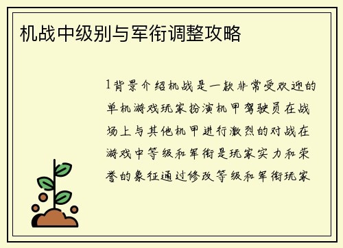 机战中级别与军衔调整攻略